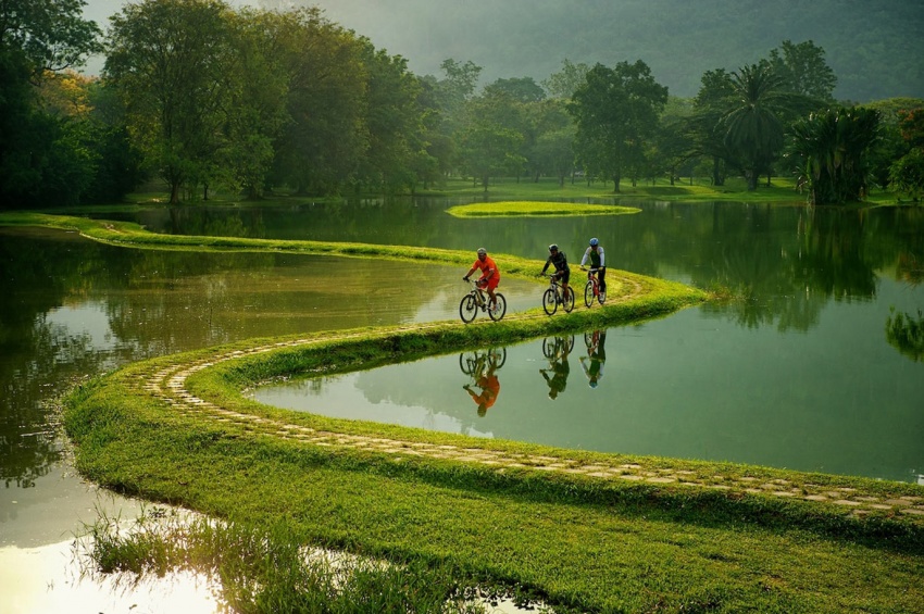 Велосипедная дорога в природе